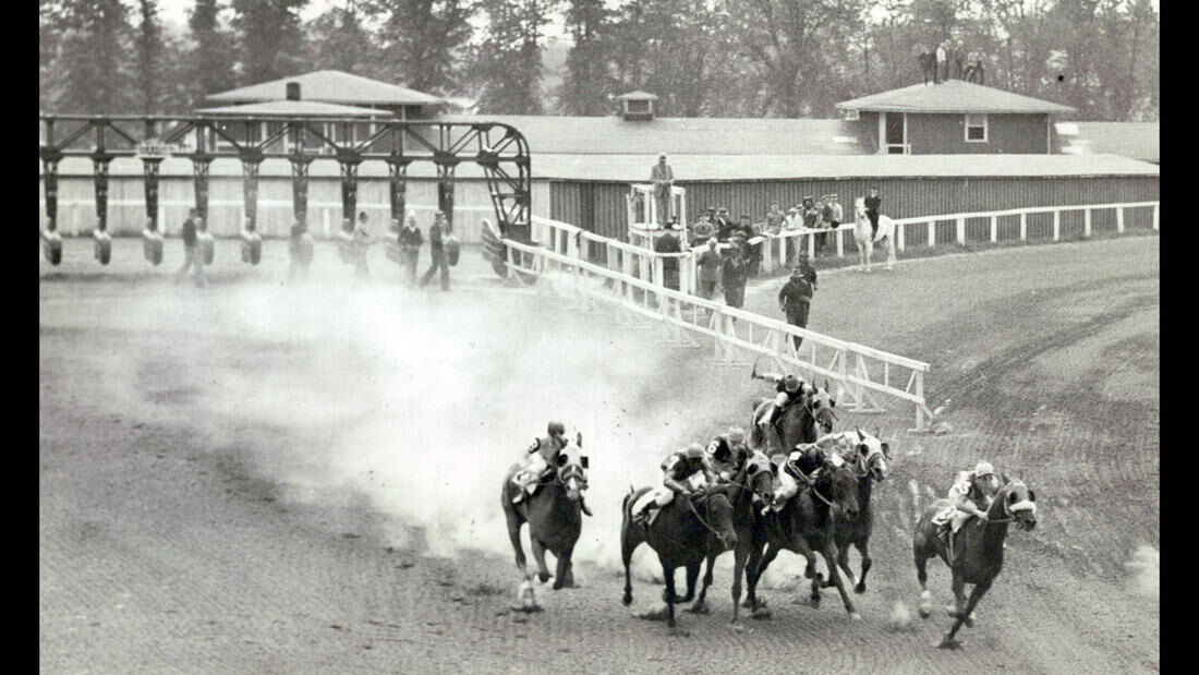 Preakness photos from years past